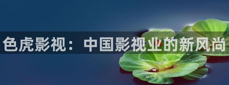 被窝影院午夜片