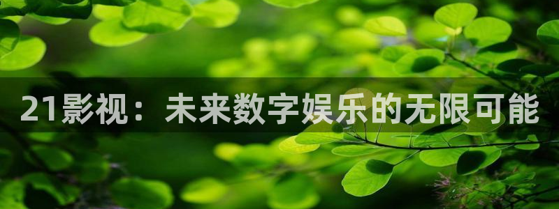 被窝影视网电视剧大全免费观看