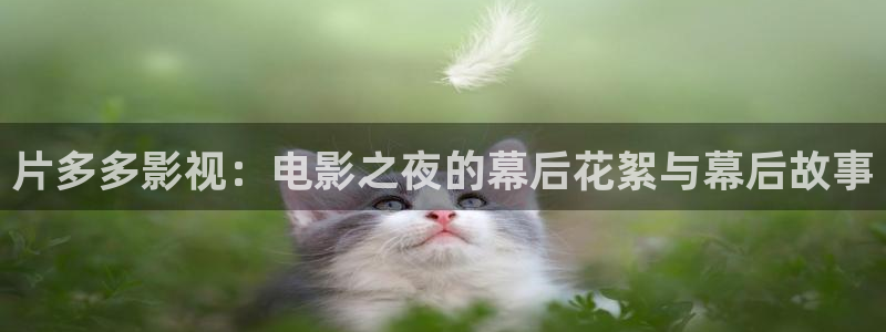 被窝神马电影网