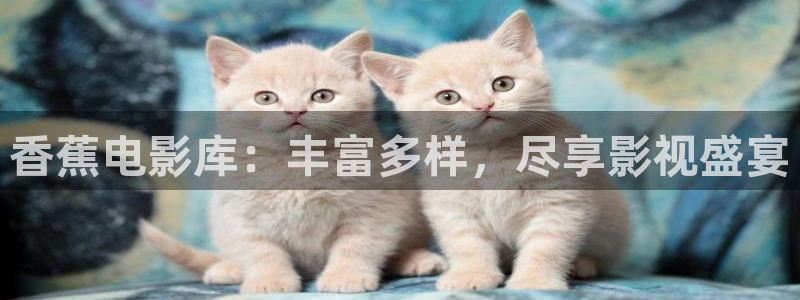 被窝网伦理片：香蕉电影库：丰富多样，尽享影视盛宴